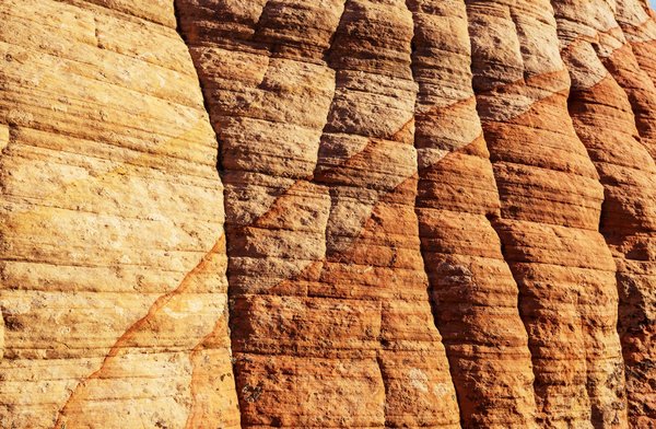 Les métiers qui nécessitent une formation spécifique pour réussir